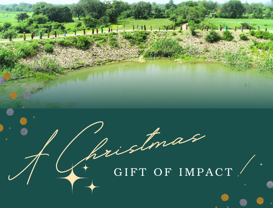 Christmas Gift of Impact